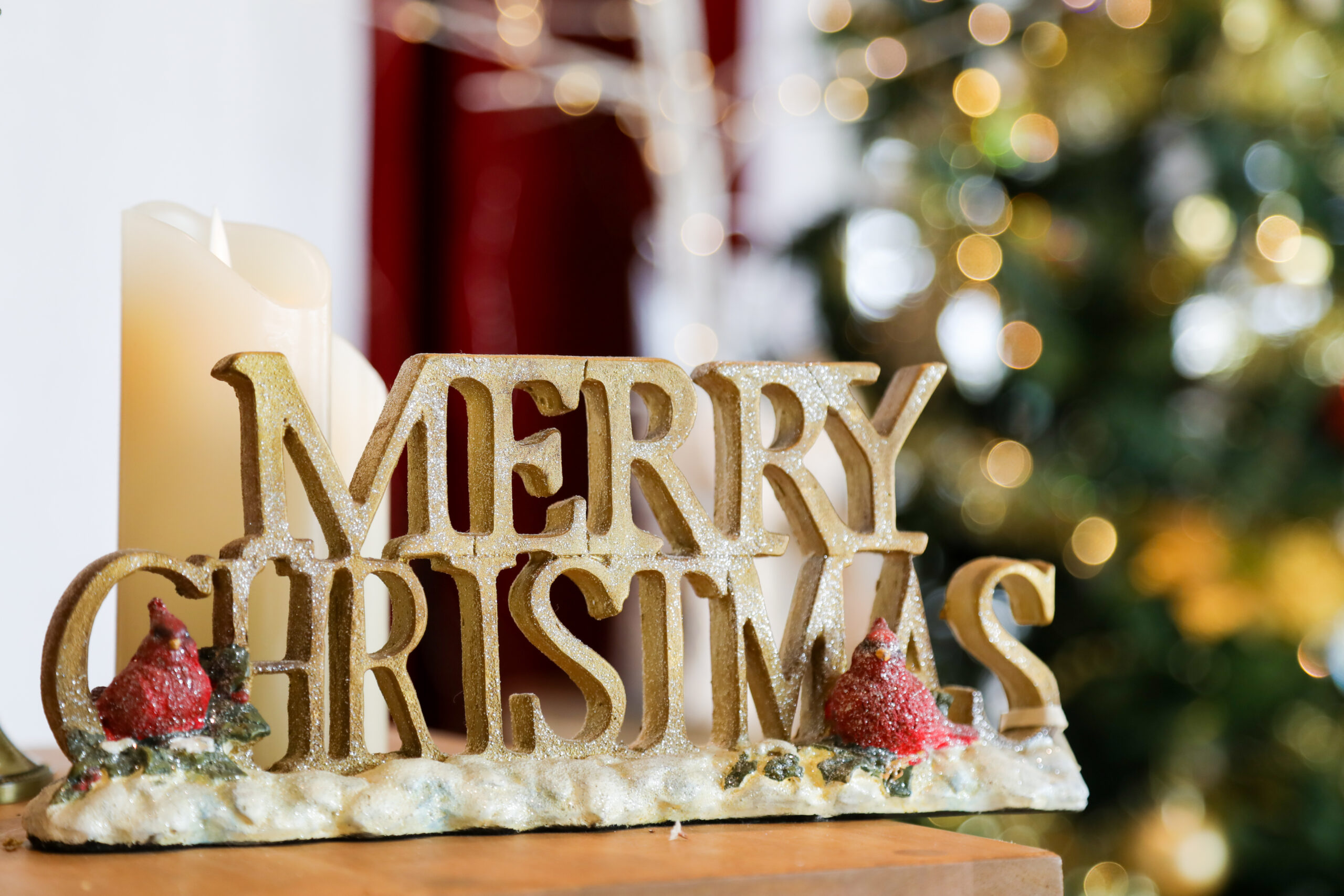 オーナー様限定「FUN FESTA」を開催しました