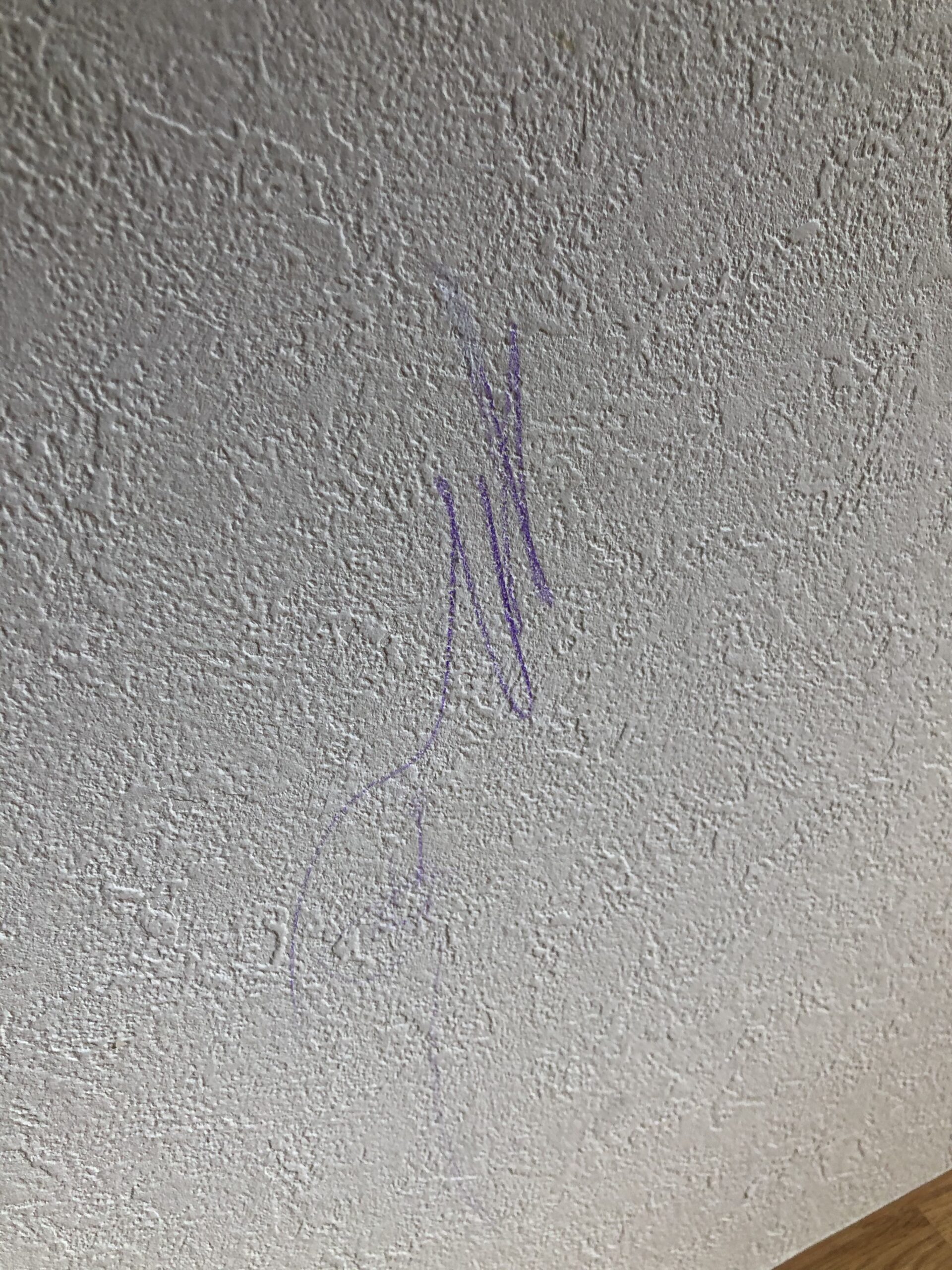 メンテナンスお役立ち情報