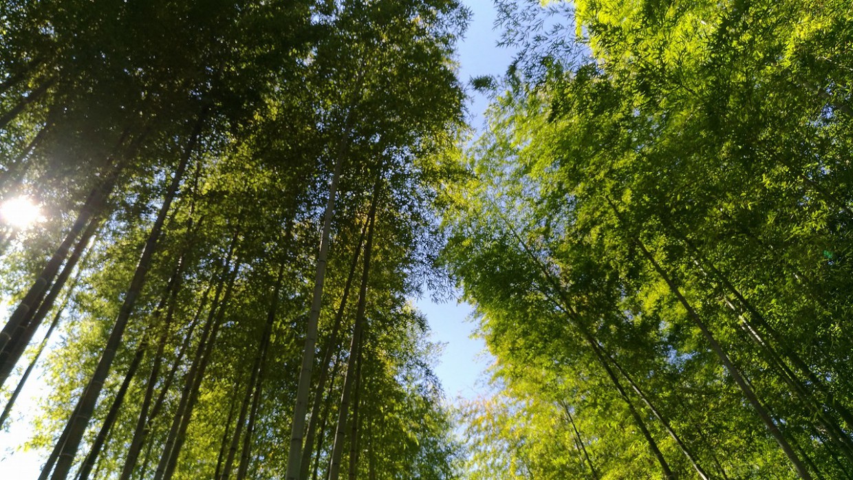 リフォーム　店舗　岡崎市、豊川市