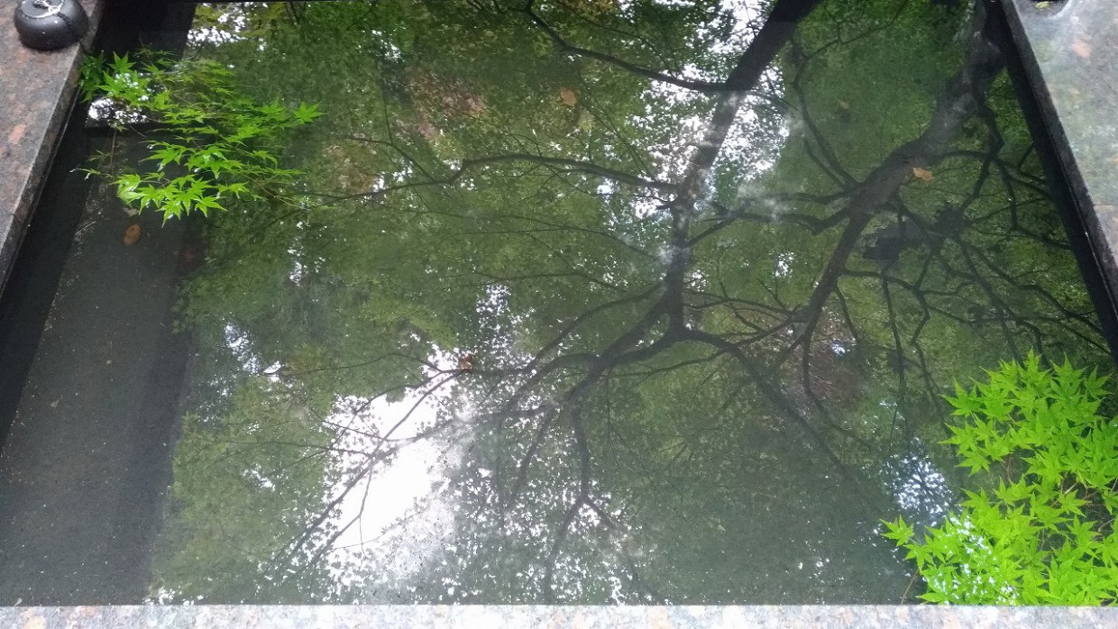 外構を取り込む手法