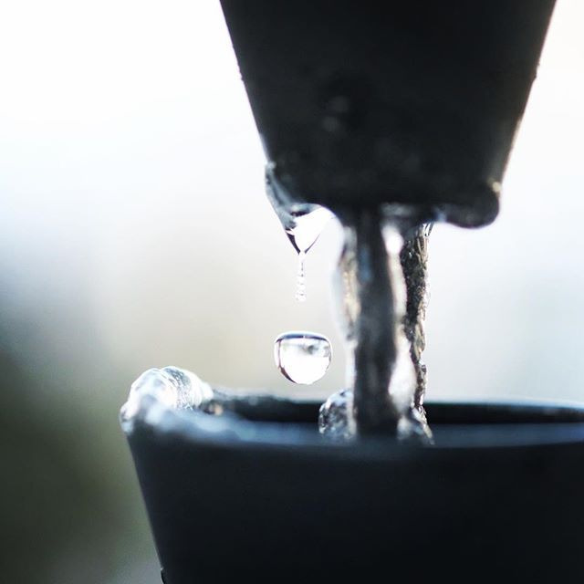 樋　雨樋　お家の雨を伝わせるあれの話