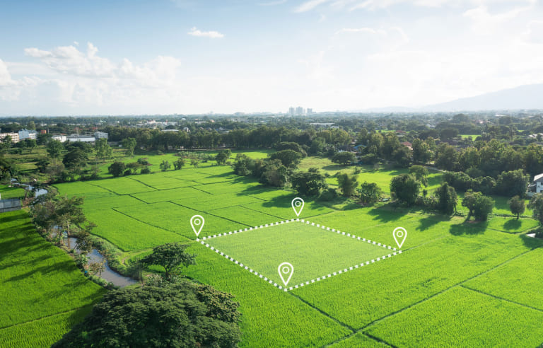 グルービーの平屋の特徴